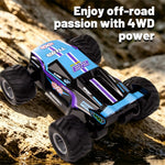 LinkMejor Q243 RTR 2.4G 4WD RC Car Amphibious Waterproof Off-Road Monster Truck 360° Rotation Remote Control Stunt Vehicles Models Toys
