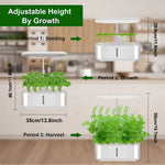 LinkMejor Plant Growth Light Smart Hydroponic Plant Machine Full Spectrum Indoor Fruit and Vegetable Planting Cultivator Ornamental Decoration