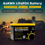 Gokwh 24V 100Ah LCD Energy Storage Box 2560Wh  Solar Lithium Ion LiFePO4(LFP)  Battery for RV Boat Home Energy Storage