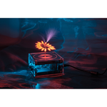 Stark Long Arc And Bluetooth Music Dual Mode Music Tesla Coil Palm Flash Bluetooth Flash Length 10CM Science Toys