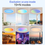 Elfeland 48W RGB Ceiling Light Remote Control with 16 Million Colors Dimmable Multiple Scene Modes LED Flush Mount Ceiling Lamp