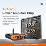 YS-KL5 Dual-Channel Bluetooth 5.3 Digital Power Amplifier High-Power 600W TPA3255 Hi-Fi Audio 2.0 Subwoofer
