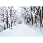5x7FT Vinyl Winter Snow Road River Side Photography Backdrop Background Studio Prop