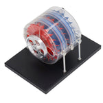 LinkMejor Single Stage Multi-stage Steam Engine Turbine Model Physics Experiment Science Discovery Production Invention Gift Collection Toys