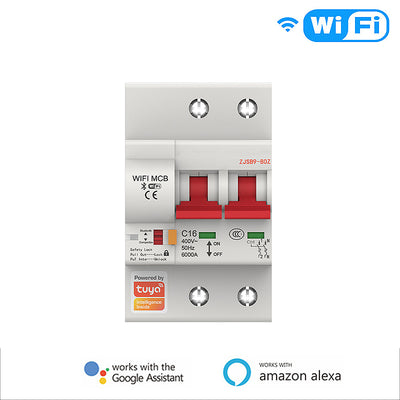 LinkMejor Tuya 80A 2P Smart WiFi Circuit Breaker APP Remote Control Schedule Setting Voice Control Compatible With Alexa Google Home