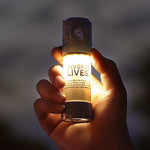 LinkMejor LP10 500LM Starry Camping Light Portable Ambient Lantern Tents Lamp 2600mah Outdoor Night Hanging Flashlight