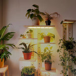 LinkMejor Quantum Board Plant Growth Lamp Indoor Aquarium Seedling Landscape Full Spectrum Green Plant Succulent Plant Fill Light