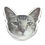 iFlight Gift Deferder Chimera7 Pro V2 DIY Puzzle Toy  Nazgul F5 Lovely Dog Cat Fridge Magnet Airbag Phone Holder