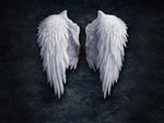 30*40 cm Angel's Wings Wall Hanging Painting Living Room Background Home Living Bedroom Decoration Drawing