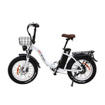 [USA DIRECT] DRVETION CT20 Electric Bike 48V 15AH Battery 750W Motor Recommended Top Speed 25KM/H 20*4.0inch Fat Tires 40-80KM Max Mileage 150KG Max Load Folding Electric Bicycle