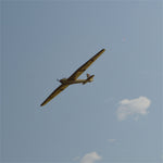LinkMejor DFS Kranich 3000mm Wingspan 1/6 Scale Balsawood RC Airplane Glider KIT