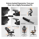 LinkMejor NT001 Ergonomic Office Chair High Back Desk Chair Standard Version with Unique Adjustable Lumbar Support Adjustable Backrest and Seat Pan Depth Tilt Function Headrest 3D Armrests Computer Chair Black