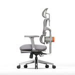 LinkMejor NT002 Ergonomic Office Chair with Footrest High Back Desk Chair with Unique Adjustable Lumbar Support Backrest Seat Depth Adjustment Tilt Function 4D Armrest Recliner Chair for Home Office