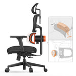 LinkMejor NT001 Ergonomic Office Chair High Back Desk Chair Standard Version with Unique Adjustable Lumbar Support Adjustable Backrest and Seat Pan Depth Tilt Function Headrest 3D Armrests Computer Chair Black