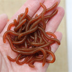 LinkMejor 20/50 Pcs Fishing Lures Artificial Soft TPR Baits Shrimp Bass Carp Fishing Tackle