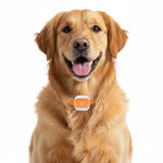 4G LTE Pet GPS Tracker IP66 Waterproof with Long Standby Real Time Tracking for Dogs Cats Electronic Fence Anti-Lost Device