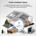 Tuya WiFi/Zigbee3.0 Light Sensor Luminance Sensor Illumination Brightness Detector Smart Home Linkage of Smart Curtains Smart Life APP Work with Alexa Google Assistant