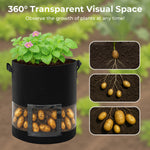 ModernHome 3pcs 15 Gallon Grow Bags Transparent Single Opening Black 3 Light-Blocking Curtains 3 Green Labels Vacuum Packed