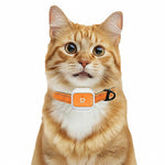 4G LTE Pet GPS Tracker IP66 Waterproof with Long Standby Real Time Tracking for Dogs Cats Electronic Fence Anti-Lost Device
