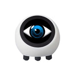 Xiaozhi AI DeepSeek Smart Voice Chat Robot ESP32-S3 Artificial Intelligence ESP32N16R8 1.28 inch LCD Screen Development Board