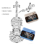 Multi-Functional LED Voice Control Clock Hygrometer FM Radio Dual Alarms Adjustable Brightness Temperature Humidity Display USB Charging
