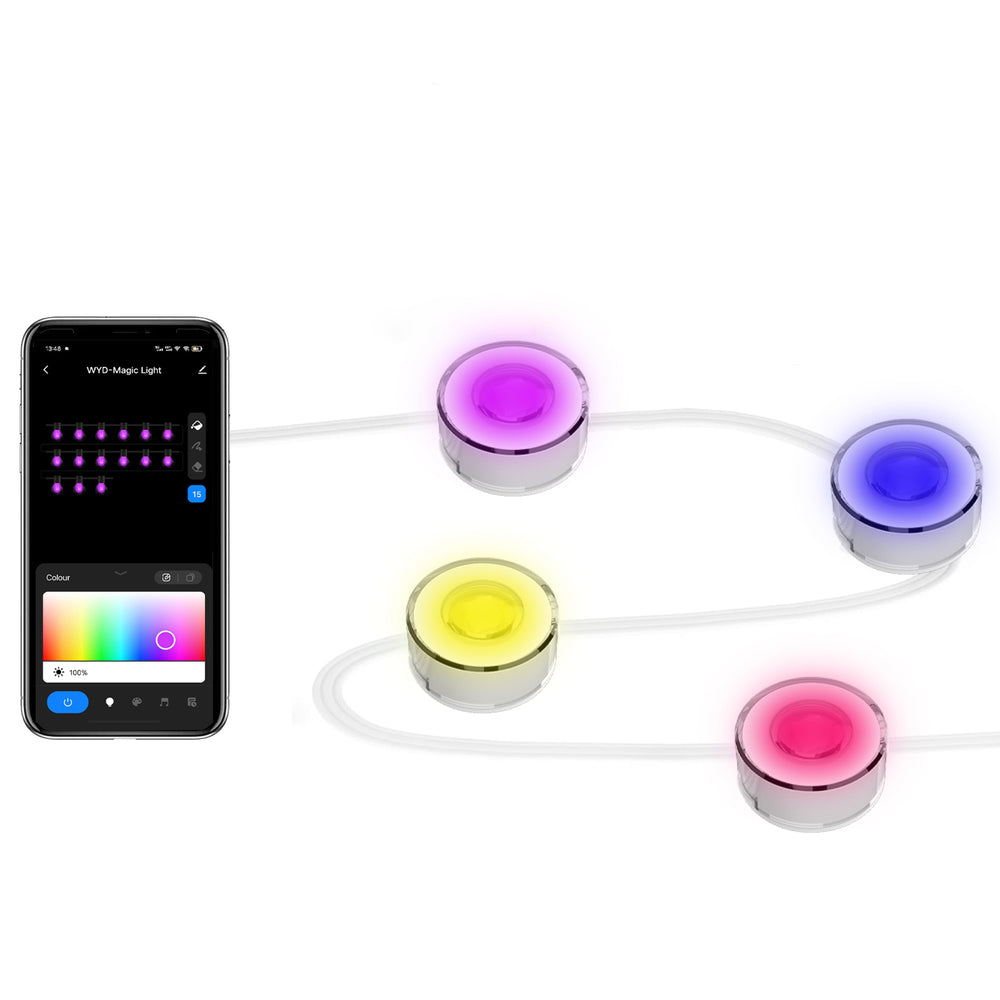 BlitzWill® BW-SS1 Smart Outdoor Eaves Light 14.5m LED String Music Sync Works With Alexa & Google Assistant Waterproof for Halloween & Christmas Decorations