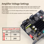 Sinilink XY-T1001P 100W Mono Bluetooth Audio Amplifier Board Input Bluetooth AUX USB DIY Speaker System with High and Low Frequency Adjustment TWS True Wireless Speaker