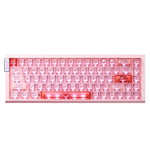 LinkMejor RS6 AIR Hall Effect Mechanical Keyboard Magnetic Switch Hot-swap Gasket Structure RGB Backlight 8K 256Hz 0.01RT Low Game Delay Wired Gaming Keyboards