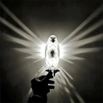 Eagle Owl Animal Projector Wall Lamp 3D Print Sconce Light Plastic Material Battery Operated Home Decor for Halloween Xmas