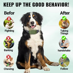 PC30 Electric Dog Training Collar Remote Control Pet Anti Bark IP67 Waterproof Rechargeable Beep Shock Vibration Mode 3140000ft² Range Type-C Charging Remote Pet Controller