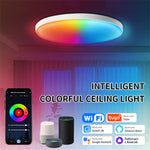 Elfeland 24W 30cm Smart LED Ceiling Light RGB+White Light WiFi APP & Voice Control 3000K~6500K Dimmable Works with Alexa & Google