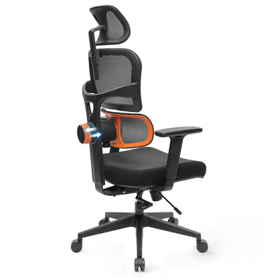 LinkMejor NT001 Ergonomic Office Chair High Back Desk Chair Standard Version with Unique Adjustable Lumbar Support Adjustable Backrest and Seat Pan Depth Tilt Function Headrest 3D Armrests Computer Chair Black