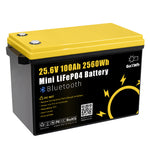 Gokwh 24V 100Ah LCD Energy Storage Box 2560Wh  Solar Lithium Ion LiFePO4(LFP)  Battery for RV Boat Home Energy Storage