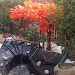 LinkMejor PVC Garden Fish Pond Liner Anti-Seepage Waterproof Heavy Duty Membrane Reinforced Landscaping Furniture Dust Cover