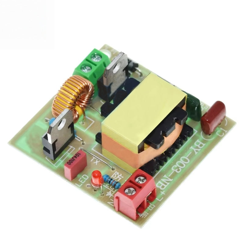 DC 12V to 220V Step Up Power Module 60W DC-AC Dual Channel Inverse Converter Booster Module Power Regulator