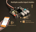 Sinilink XY-T1001P 100W Mono Bluetooth Audio Amplifier Board Input Bluetooth AUX USB DIY Speaker System with High and Low Frequency Adjustment TWS True Wireless Speaker