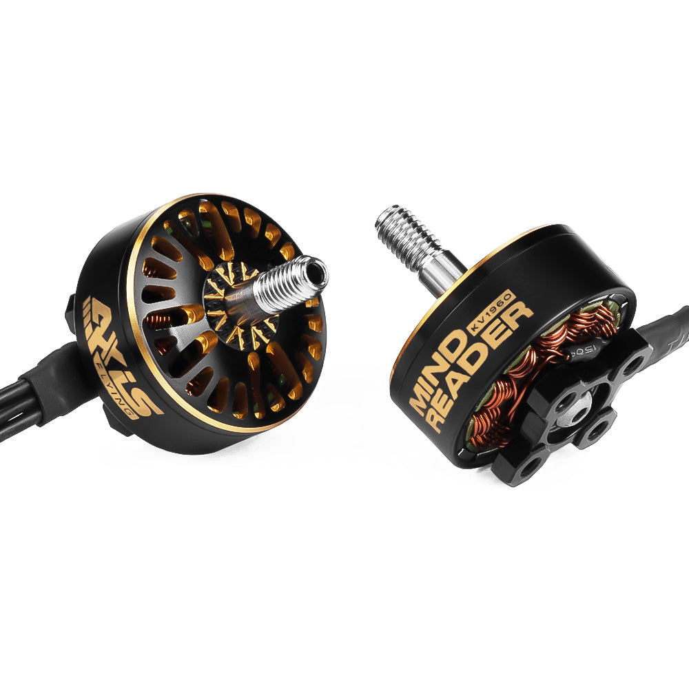 LinkMejor BlackBird v4 2307 1960KV / 2060KV 6S Brushless Motor 5mm Shaft for 5 Inch Freestyle RC FPV Racing Drones