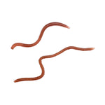 LinkMejor 20/50 Pcs Fishing Lures Artificial Soft TPR Baits Shrimp Bass Carp Fishing Tackle