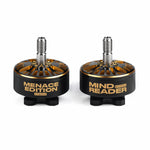 LinkMejor BlackBird v4 2307 1960KV / 2060KV 6S Brushless Motor 5mm Shaft for 5 Inch Freestyle RC FPV Racing Drones