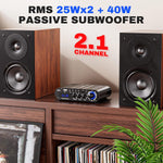 ST-839 2.1CH Mini Bluetooth Stereo Amplifier RMS 25Wx2+40W Subwoofer Output USB/AUX/RCA Input Home Audio Receiver for Home Theater With DC12V Power Adapter