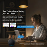 LinkMejor M5 Matter Smart WiFi Wall Switch US Plug ESP32 Two-way eWeLink-Remote Schedule Setting Smart Scene Voice Control Works with Alexa Google Apple Home