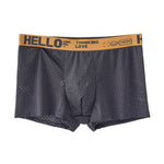 4pcs Men's Boxers Ice Silk Mesh Boxers Shorts Comfortable U Convex Pouch Underwear Loose Breathable Boxers Underpants Male Panties