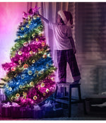 LinkMejor 5m~20m Smart RGBIC LED String Lights Music Sync IP68 Waterproof APP/Remote/Voice Control With Alexa/Google Christmas Decoration