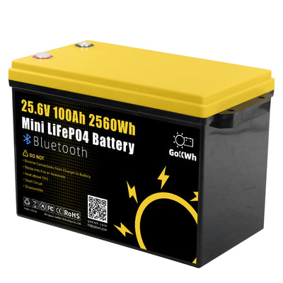Gokwh 24V 100Ah LCD Energy Storage Box 2560Wh  Solar Lithium Ion LiFePO4(LFP)  Battery for RV Boat Home Energy Storage