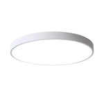 4000K Full Spectrum LED Ceiling Lamp Modern Simple Bedroom Lamp Thin Thickness for Living Room Bedroom Kitchen