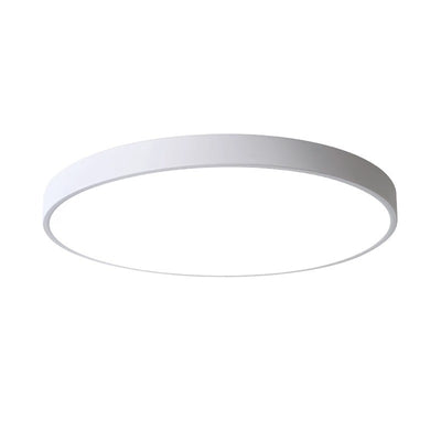 4000K Full Spectrum LED Ceiling Lamp Modern Simple Bedroom Lamp Thin Thickness for Living Room Bedroom Kitchen