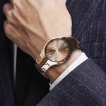 LinkMejor Men Business Watch Waterproof Automatic Quartz Watches Luminous Double Date Wristwatch