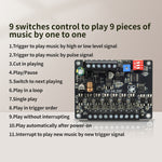 Sinilink HL20F MP3 WAV Audio Player Module DC 12-85V 20W Output One-to-One Trigger Class D Amplifier Custom Audio