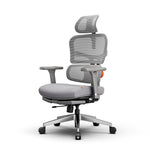 LinkMejor NT002 Ergonomic Office Chair with Footrest High Back Desk Chair with Unique Adjustable Lumbar Support Backrest Seat Depth Adjustment Tilt Function 4D Armrest Recliner Chair for Home Office