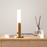 Magnetic USB LED Human body sensing Night Light  Kitchen Cabinet Light Home Stair Bedroom Table Motion Lamp Bedside Lighting